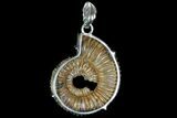 Pyrite Replaced Ammonite Fossil Pendant #81609-1
